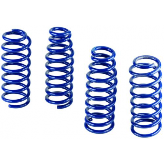 Ford Performance Lowering Springs 2018-2025 Mustang GT with Magneride & 2015 2020 GT350